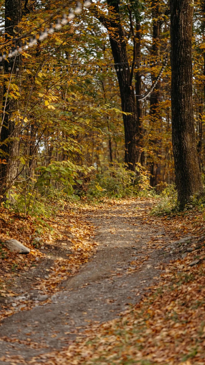 Along the cabin paths